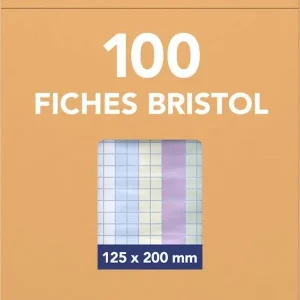 fiche bristol 13*21 couleur start/ panda
