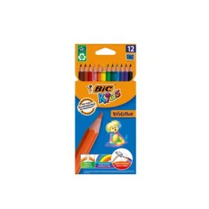 crayon de couleur 24 gm bic