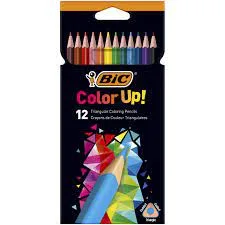 crayon de couleur 12 gm intensity bic