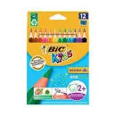 crayon de couleur gras de 12 bic