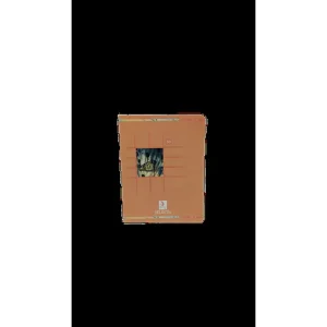 cahier pique essentiel 48p 17/22 seyes
