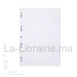 double feuille blanche bleu marine 21*29.7