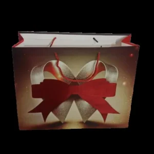 sac pour cadeaux mm 2025