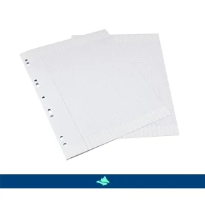 feuille double blanche/ cherry 21*29.7 70pcs