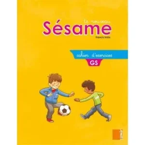 le nouveau sesame gs cahier d'exercices