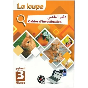 la loupe niveau 3 cahier d'investigation msm