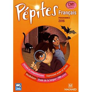 pipt